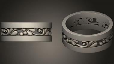 Jewelry rings Ring 17 3d model